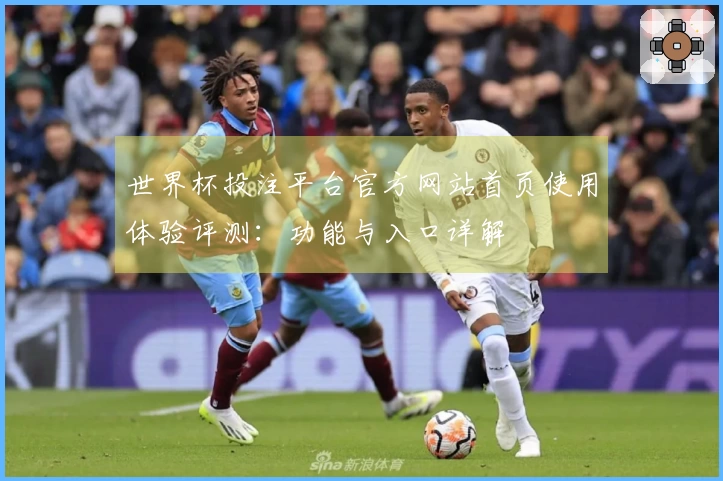 世界杯投注平台官方网站首页使用体验评测：功能与入口详解