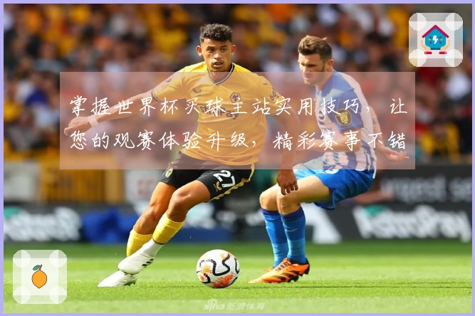 掌握世界杯买球主站实用技巧，让您的观赛体验升级，精彩赛事不错过