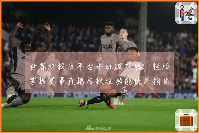 世界杯投注平台手机版下载：轻松掌握赛事直播与投注功能使用指南